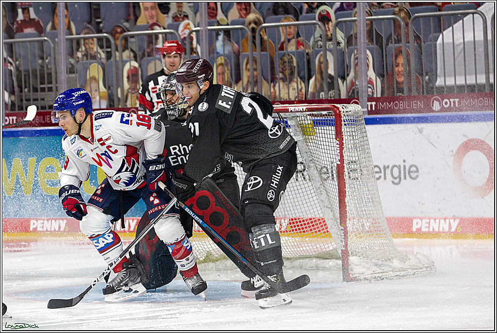 PENNY DEL;  Koelner Haie - Adler Mannheim; Koeln, 08.04.2021